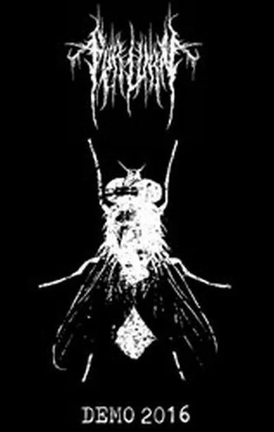 FVRLVRN — Demo 2016 (кассета)